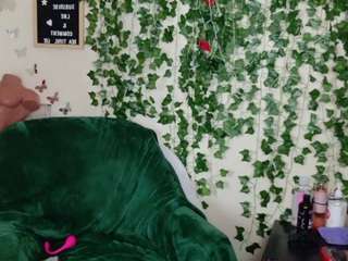 butterflybooty camsoda stream image