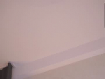 pafosstar chaturbate stream image