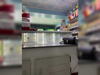 praesertim bongacams stream image