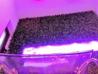 hotfallingdevil chaturbate stream image