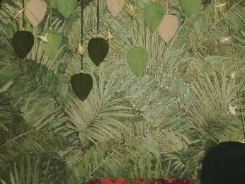 Meeeeow bongacams stream image