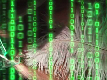 ALVUWKA bongacams stream image