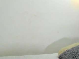 zandycooper camsoda stream image, 02.12.2025 21:40