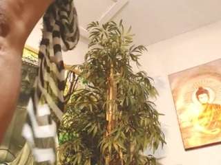 liquidfire camsoda stream image