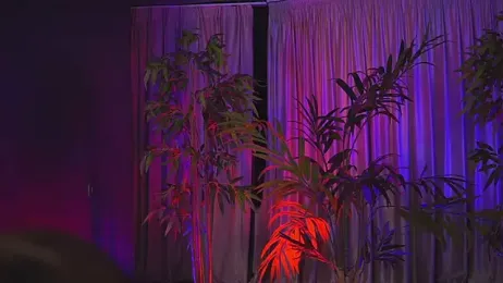 HotBustyBabeX stripchat stream image