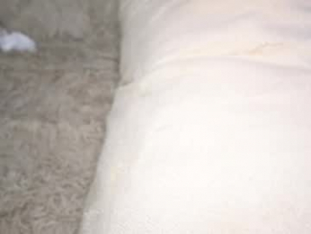 evafatcat chaturbate stream image