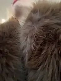 NewLale stripchat stream image