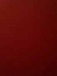 Zara_cum69 stripchat stream image