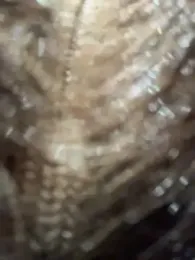 NewLale stripchat stream image