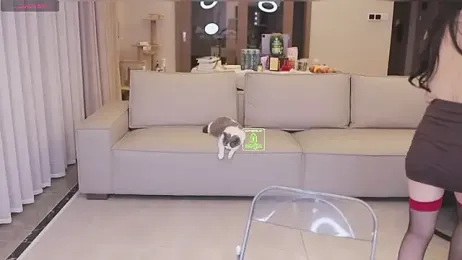 Bella-999 stripchat stream image