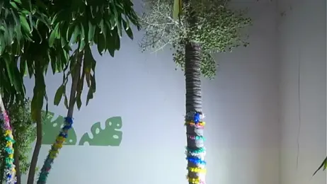 annie22love stripchat stream image