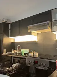 Gipsyboysteve stripchat stream image