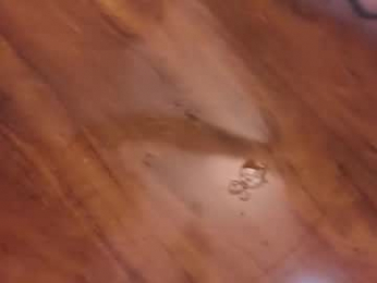 im_jessica_cherry chaturbate stream image