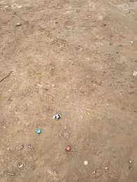 Outdoor_backup stripchat stream image