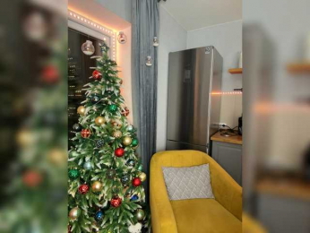 OAO_Sofi bongacams stream image