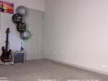 petitebrat chaturbate stream image, 04.01.2026 01:50