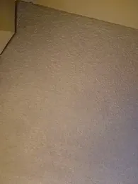 Roddog18 stripchat stream image