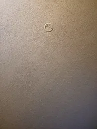 Roddog18 stripchat stream image