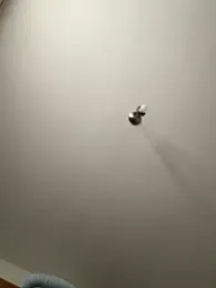 DaisyVibesss stripchat stream image