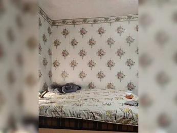Alisa-33 bongacams stream image, 12.01.2026 16:50