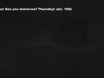 eatmygingersnapps chaturbate stream image