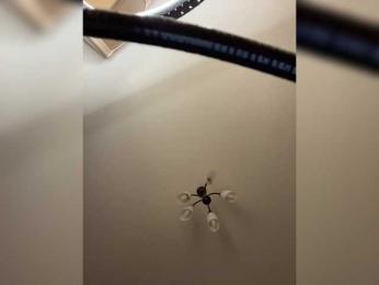 HellMor bongacams stream image