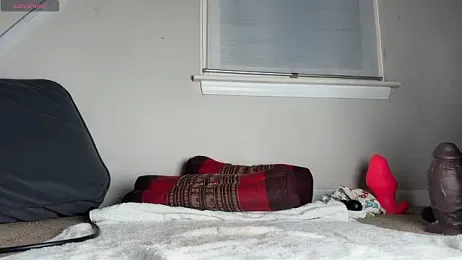 Theonlydreamybull stripchat stream image