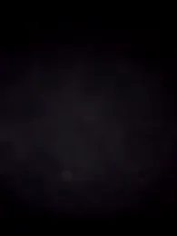 Roddog18 stripchat stream image