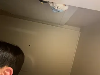 dvoi stripchat stream image