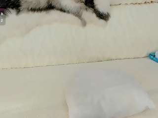 maryelle camsoda stream image