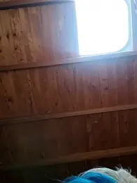 shelby_kutter stripchat stream image