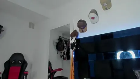 TysonWalkers stripchat stream image