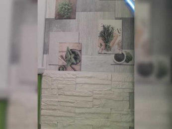 Anesteishen bongacams stream image