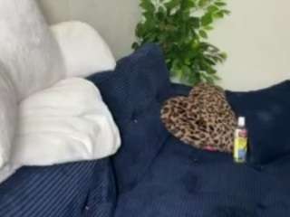 iambaldheadbrittany camsoda stream image, 26.02.2026 14:00