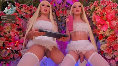 SpicySluts stripchat stream image