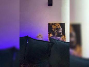 WILDGIRL bongacams stream image