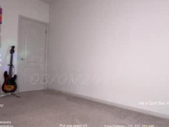 petitebrat chaturbate stream image, 01.03.2026 15:00