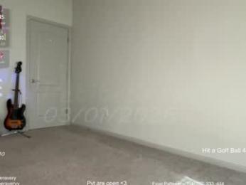 petitebrat chaturbate stream image, 01.03.2026 15:00