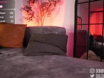 dominic_sullivan1 chaturbate stream image