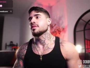 dominic_sullivan1 chaturbate stream image