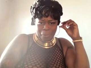 stalliontheesavage camsoda stream image