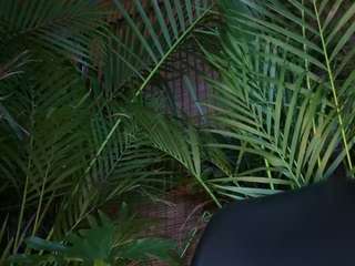 anastaxialynn camsoda stream image, 24.03.2026 23:10