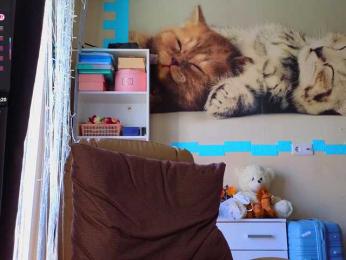 Mistress-Gwen bongacams stream image