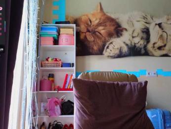 Mistress-Gwen bongacams stream image