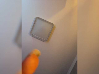 PALMIIRA bongacams stream image