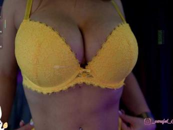 Careful_i_Bite bongacams stream image, 07.04.2026 12:40