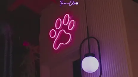 Iam_elii1 stripchat stream image, 09.04.2026 02:20