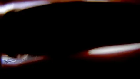 KK-cuteboy stripchat stream image