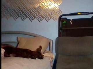 sharatopvers camsoda stream image, 27.04.2026 11:30