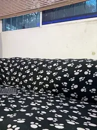 cody_fox10 stripchat stream image, 29.04.2026 20:30